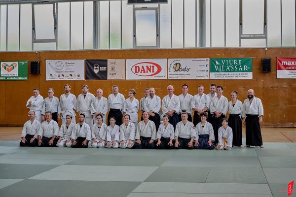 Curs Aikido