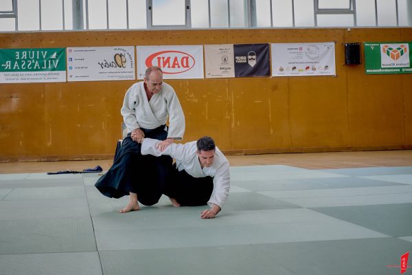 Curs Aikido