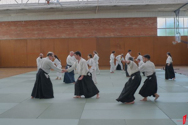 Curs Aikido
